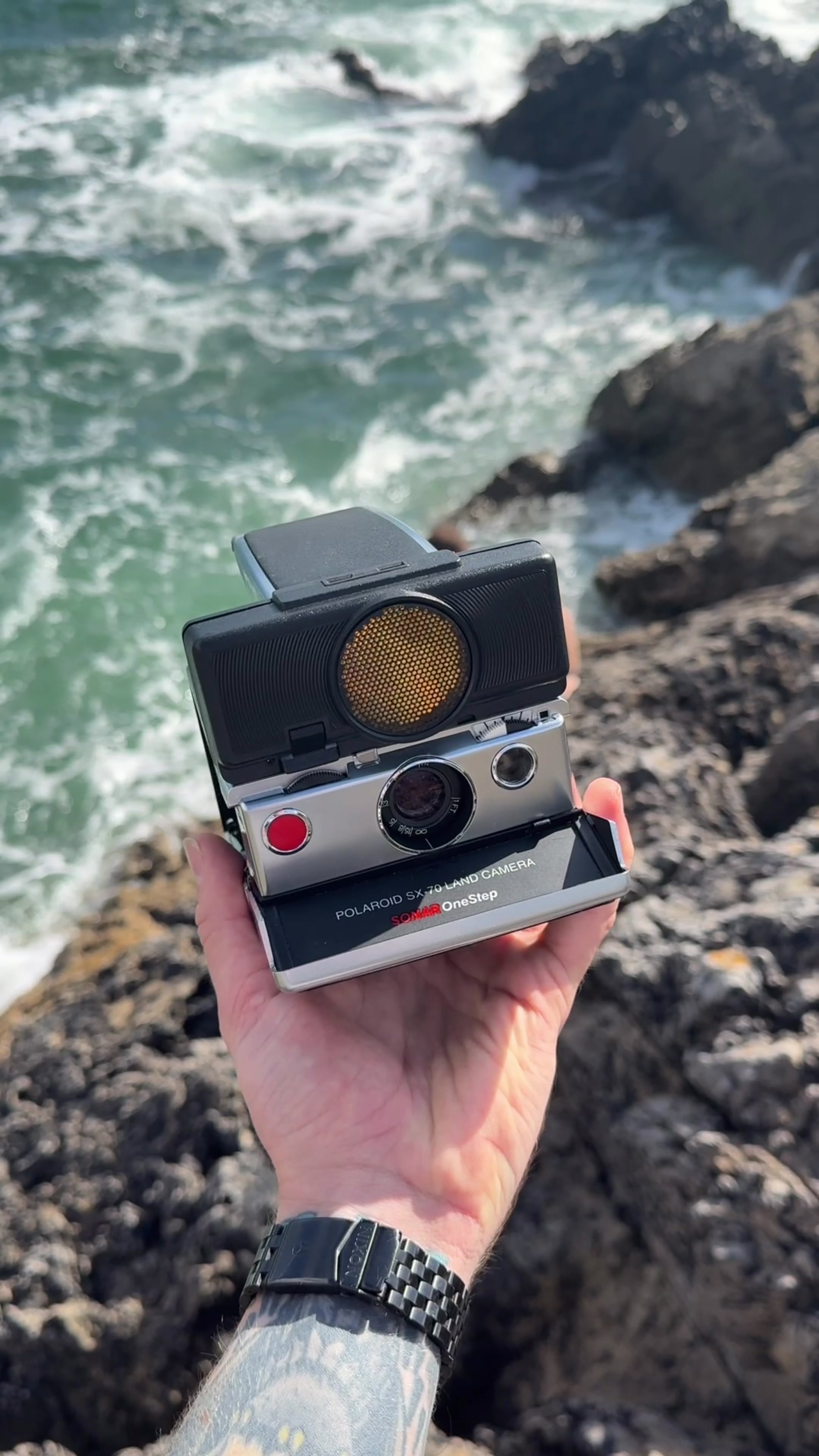 @Analogue_Revival