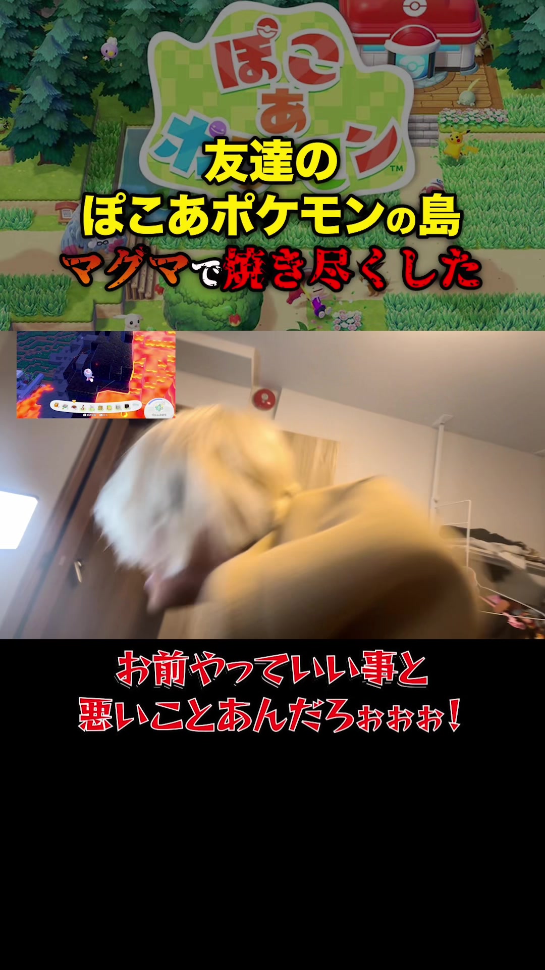 @ブリとカワウソ