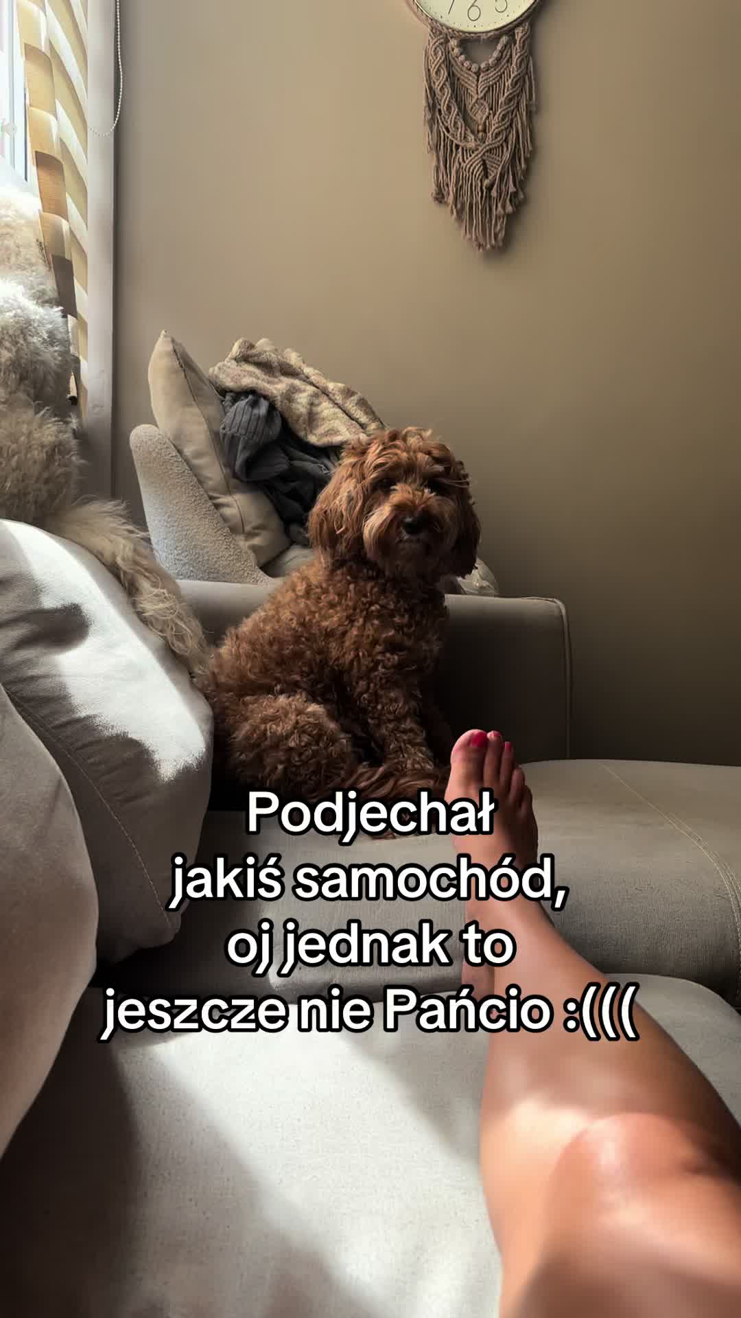 @Sisi