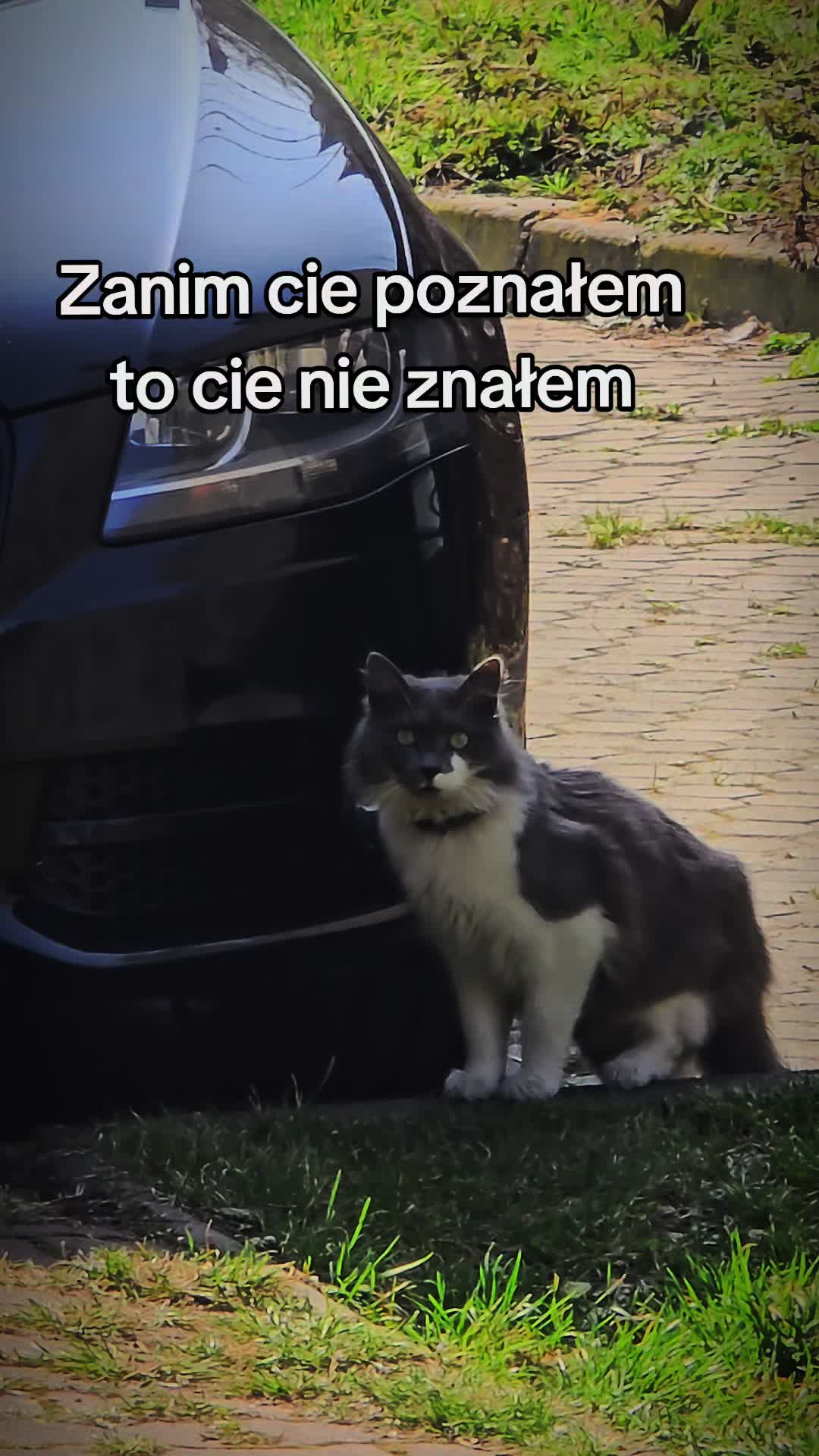 @Anonimowy