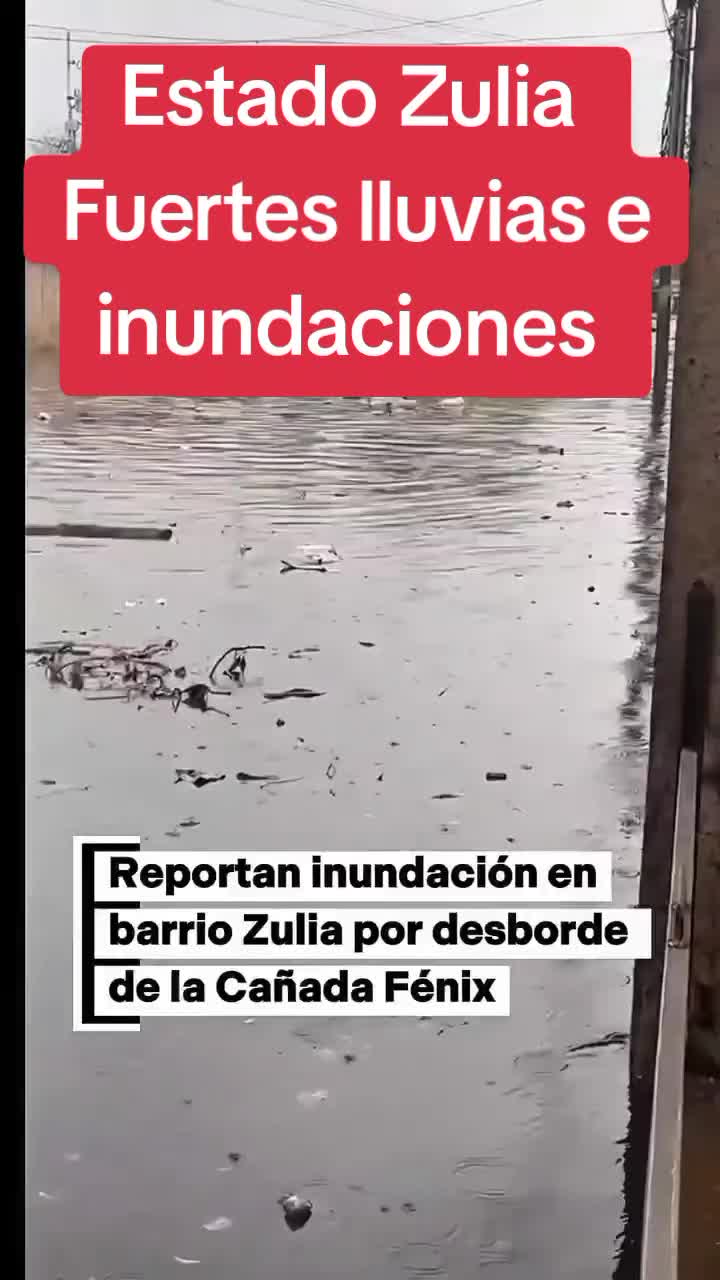 @JP Noticias y Variedades