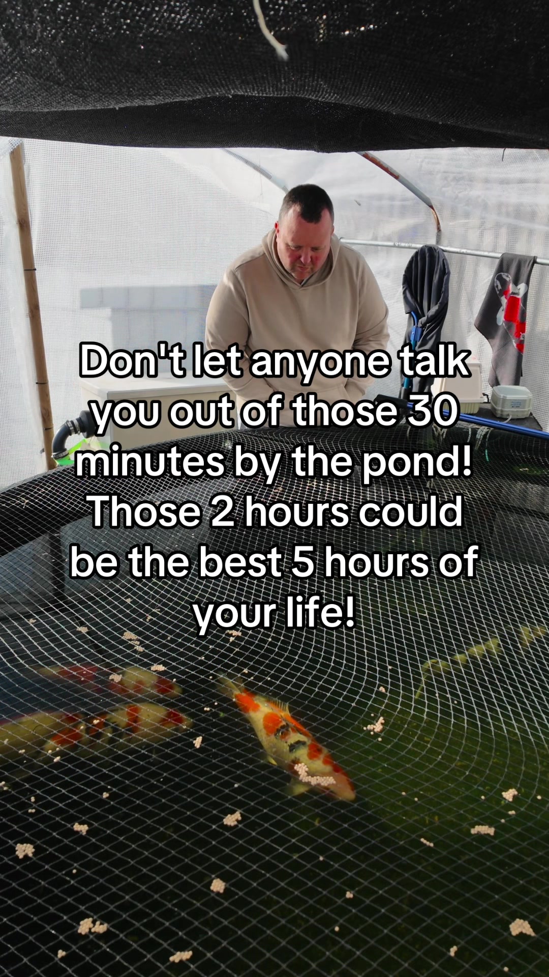 @Koi Competitions