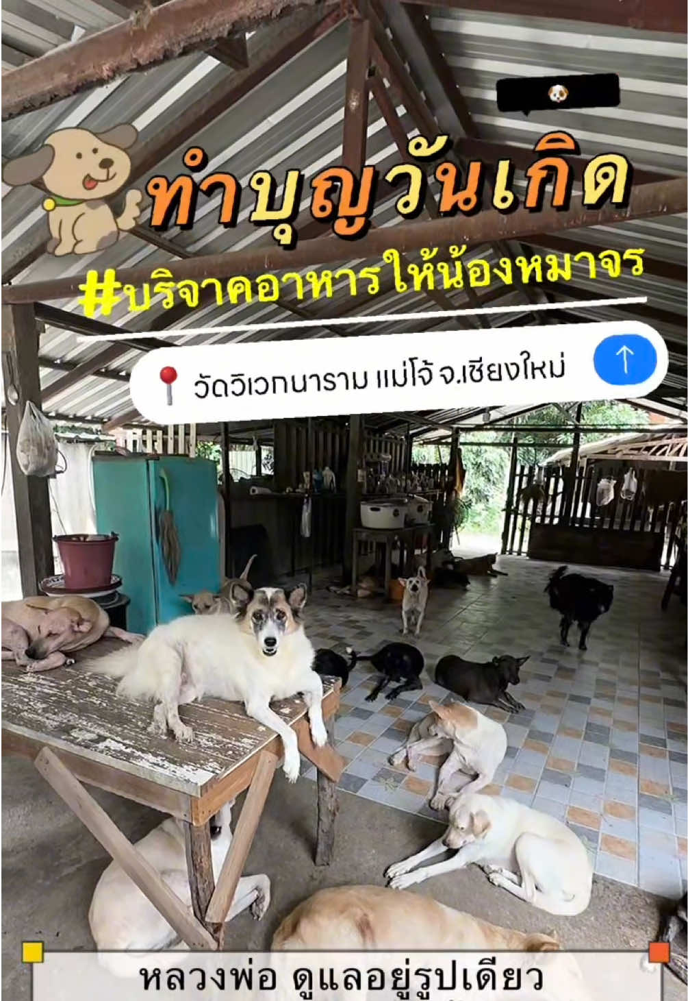 @ไบรท์ เบบี้