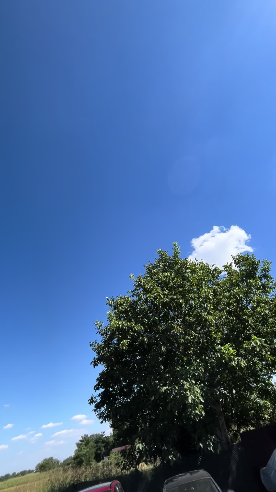 @F L O R I N