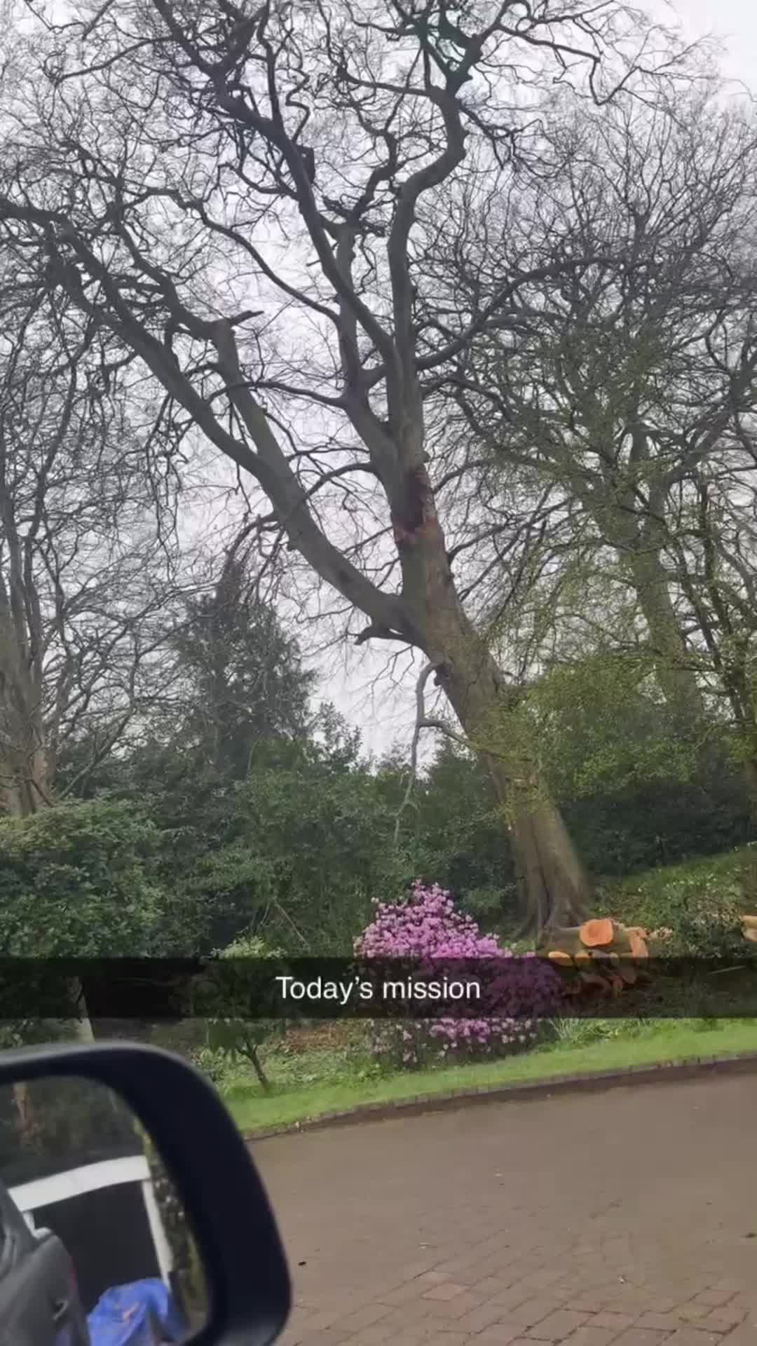 @HarveyG