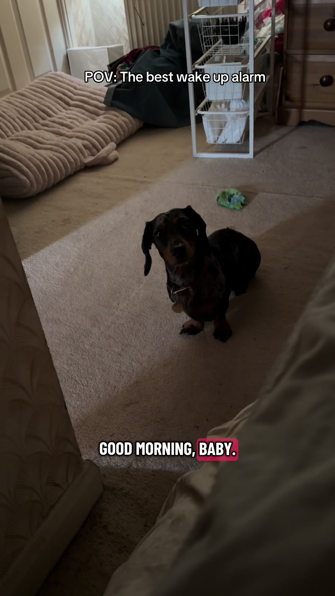 @dibblydobbly_dax