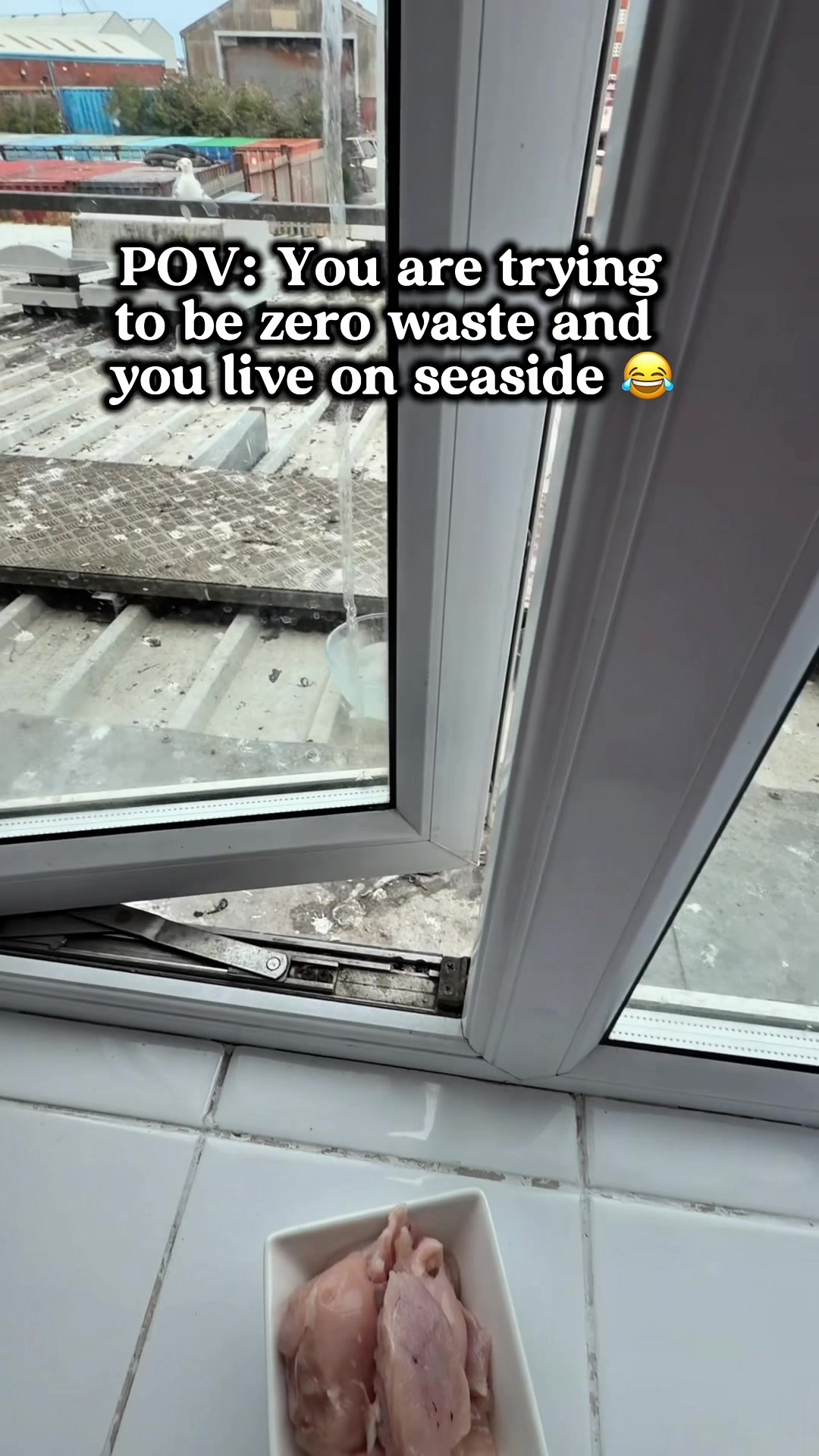 @slavic_cat_mum
