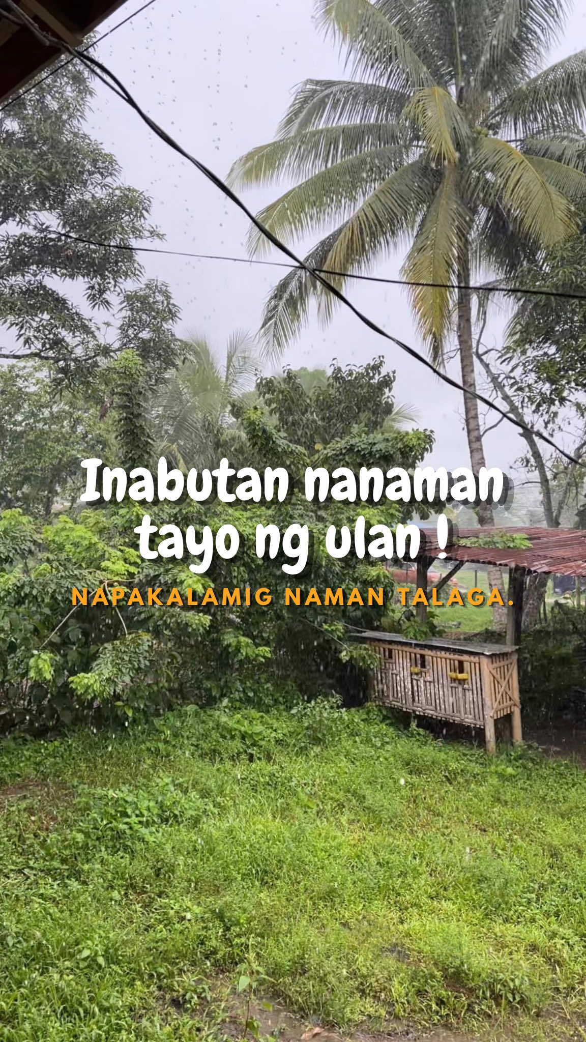 @indaypoypoy