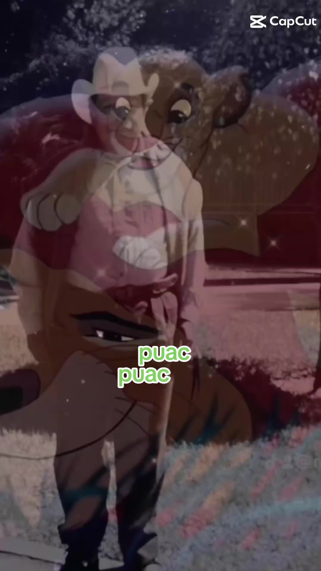 @puac
