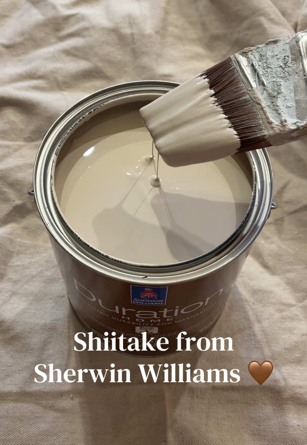 @Megan&rsquo;s Paintings 🖌️