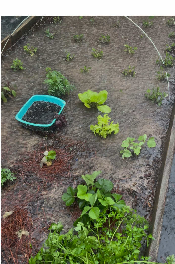 @Gardening4ME