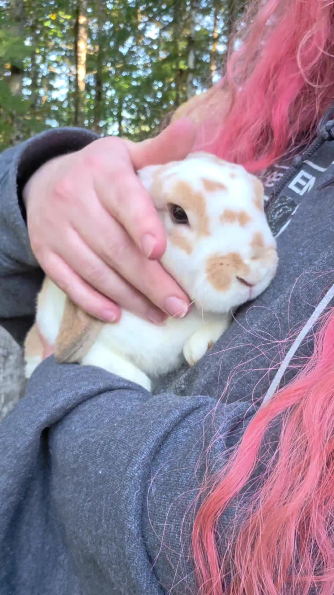 @Darling Rabbitry
