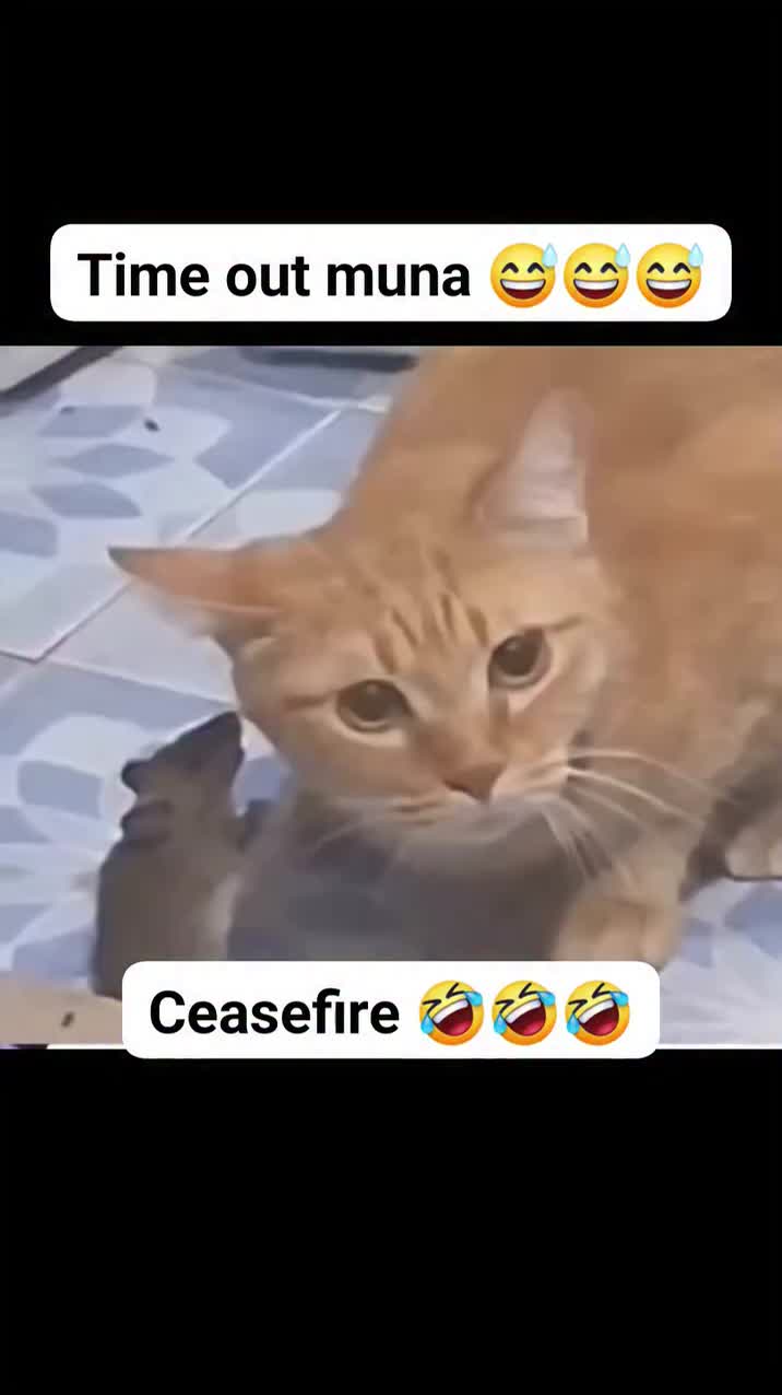 @dwikaputramahardika