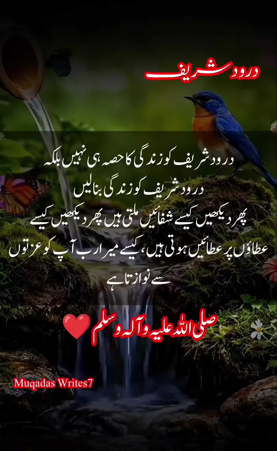 @Muqadas Writes