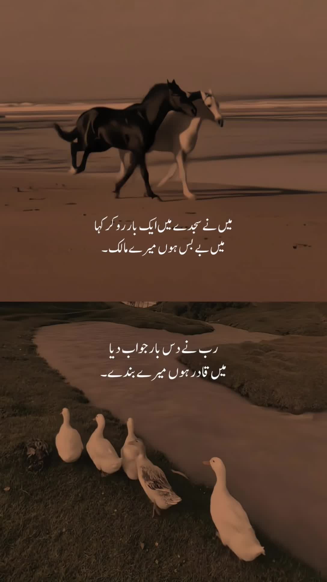 @𝐓ʜᴇ 𝐌ᴏᴏɴ🖤