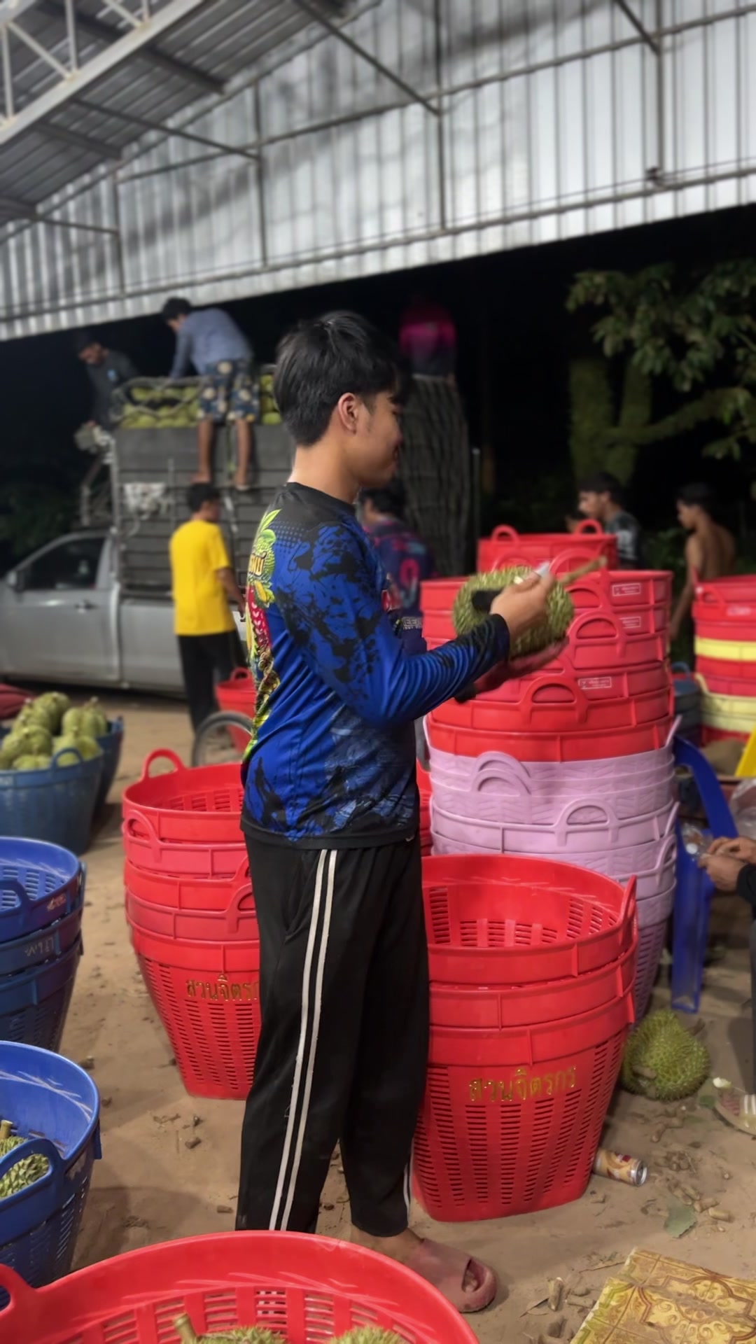 @เเบงค์ ชนะชัย  ଽ🌳🪣🍅
