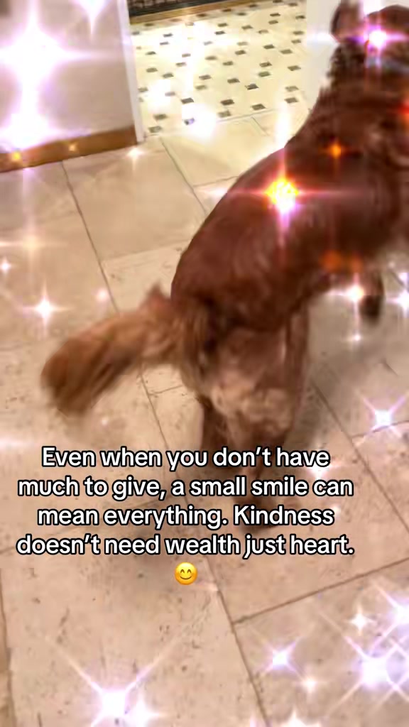 @Happy buddy