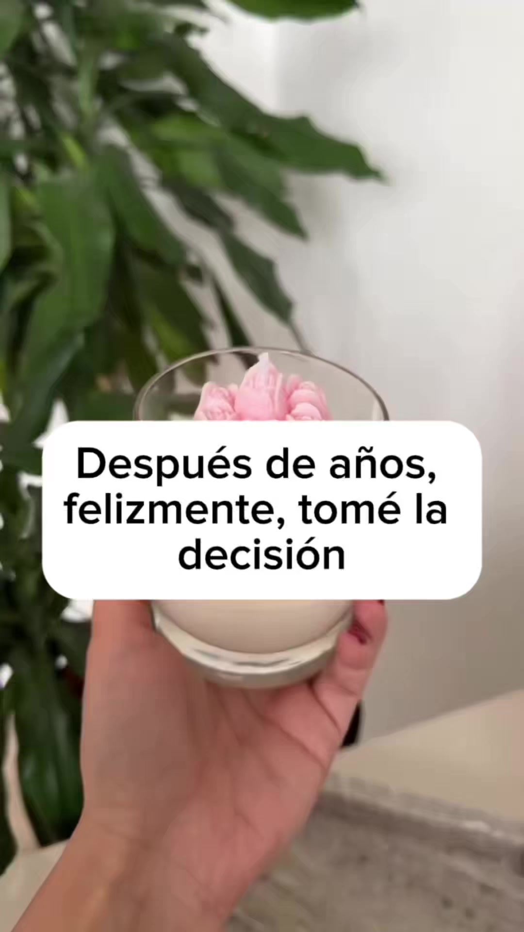 @VELAS Y VELAS