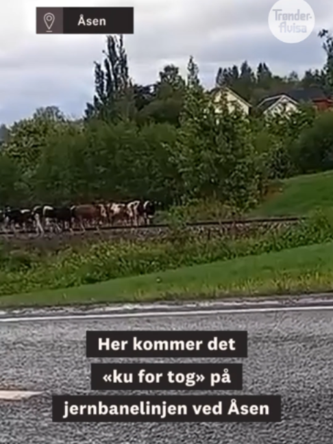 @Tr&oslash;nder-Avisa