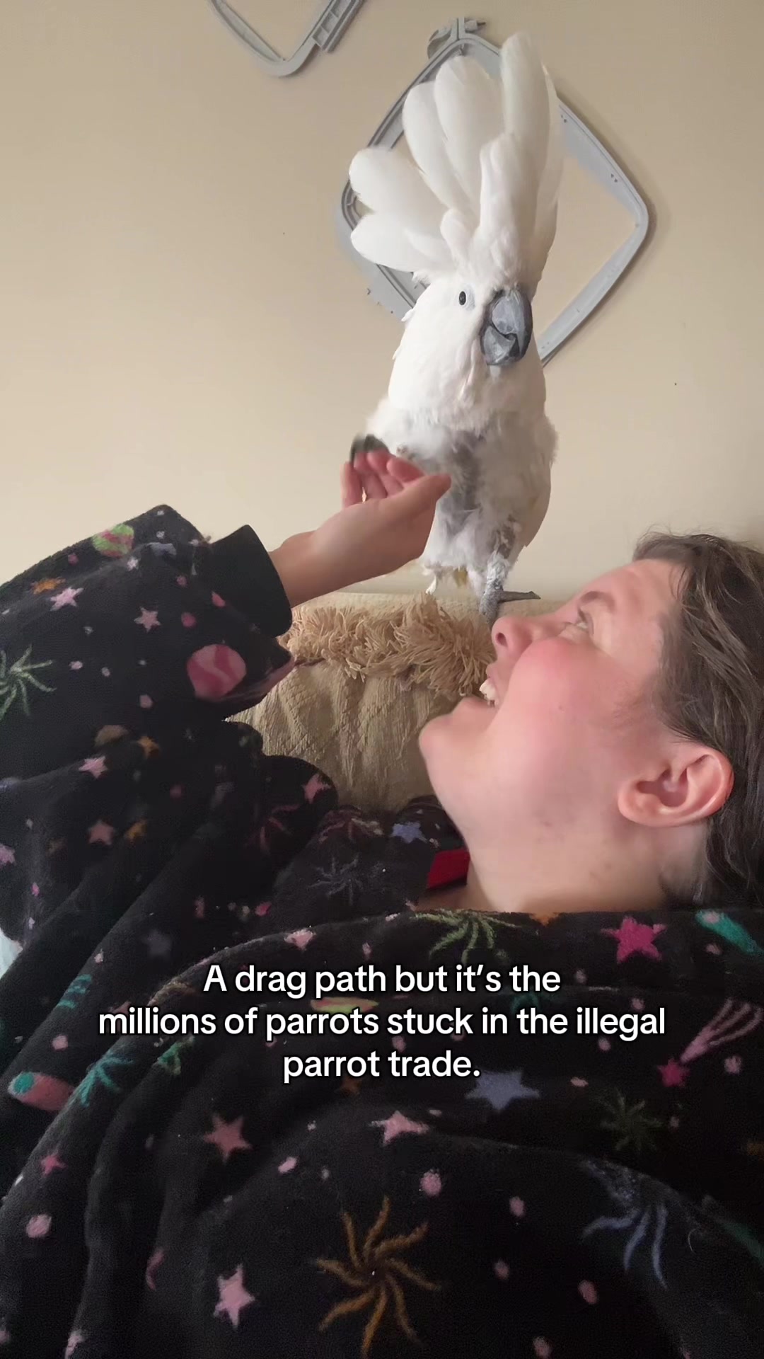@Bird_Tails