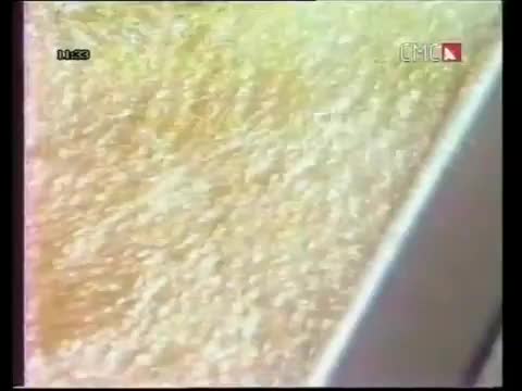 @Balkanska-zvezda