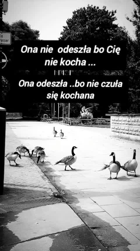 @Słowa*i*Myśli