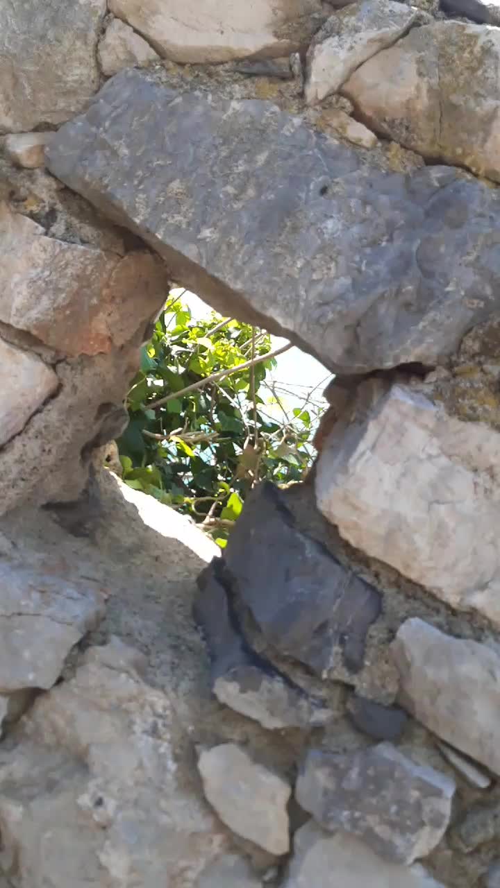 @s.g74