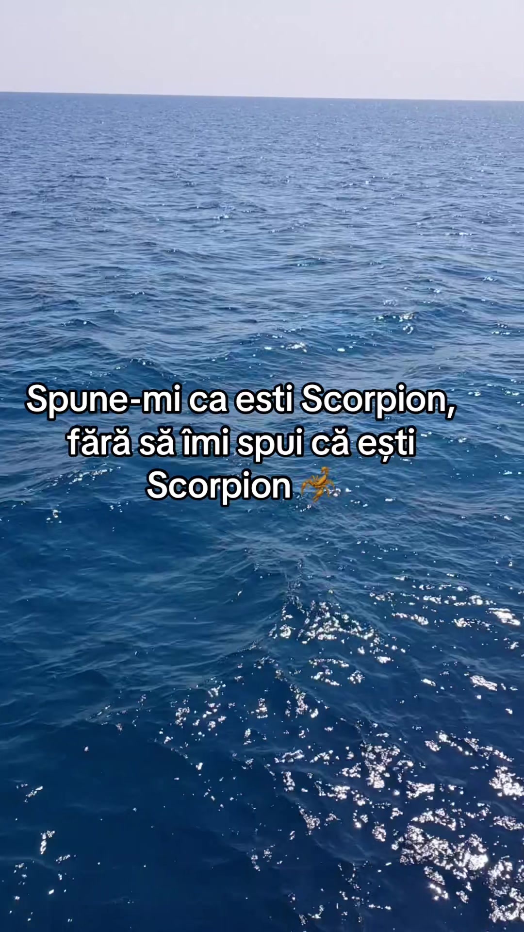 @Marina Andreea