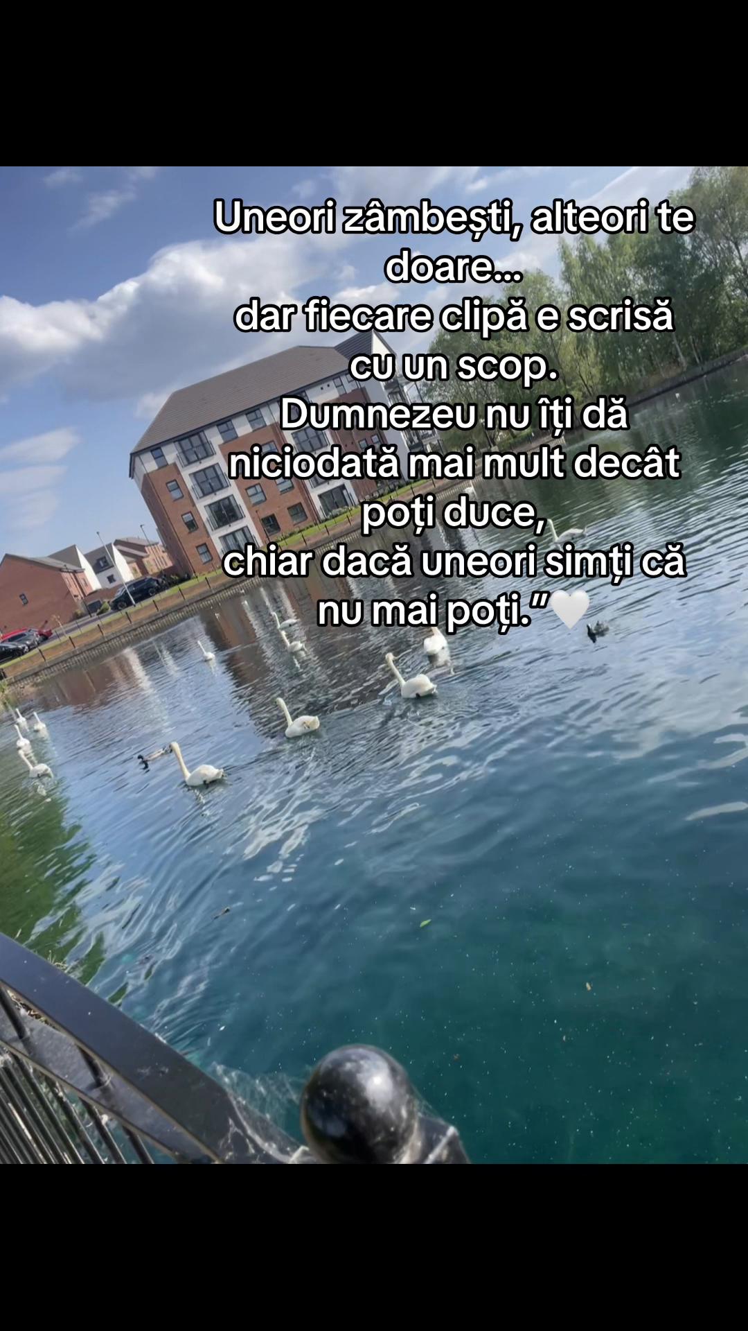 @Lidia Dobre