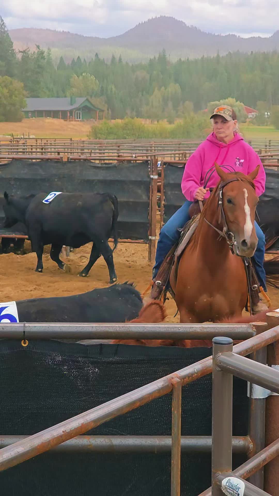 @🐴 ColdMountainRanch 🏇