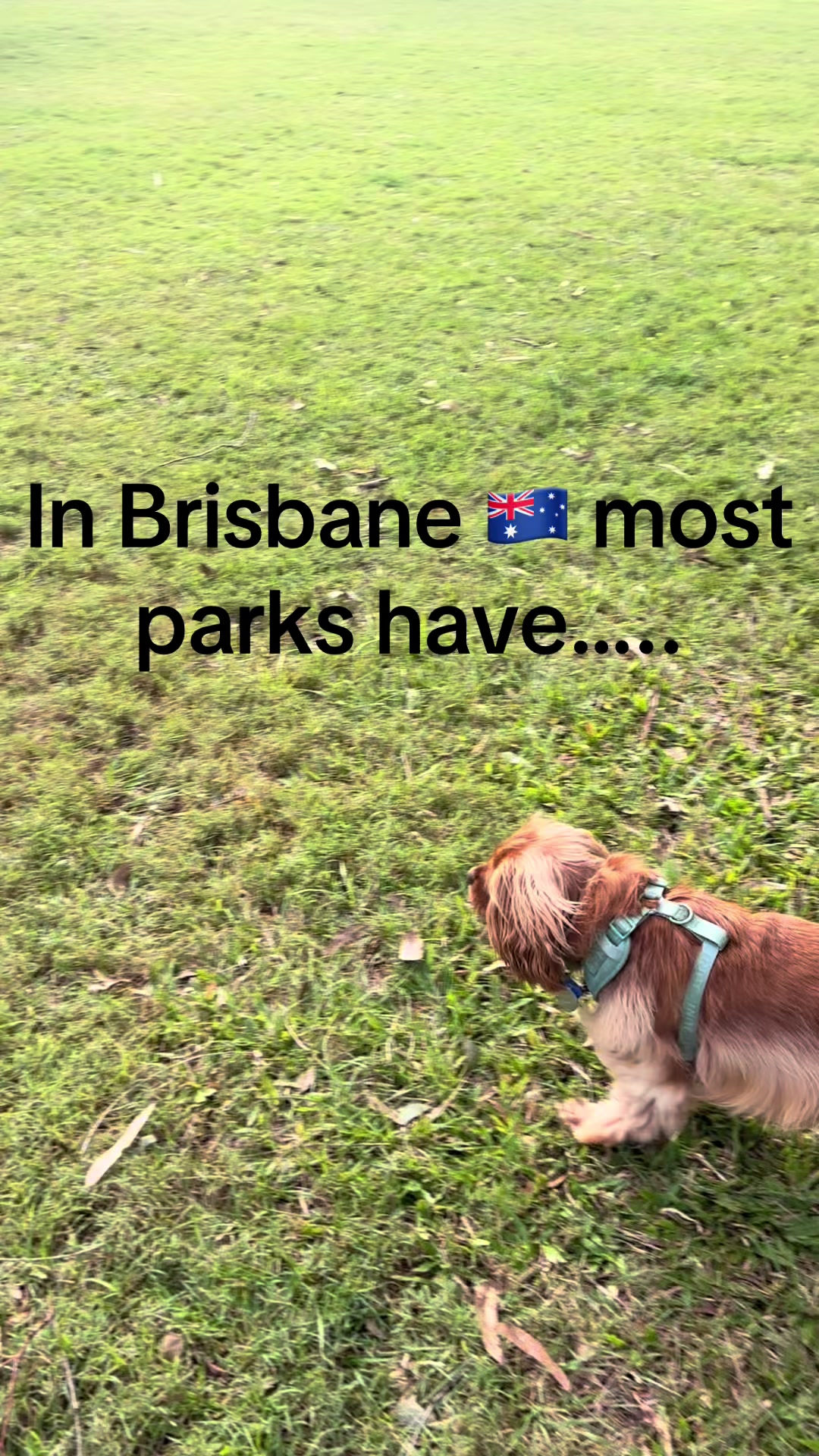 @smithsinbrisbane ๐ฆ๐บ