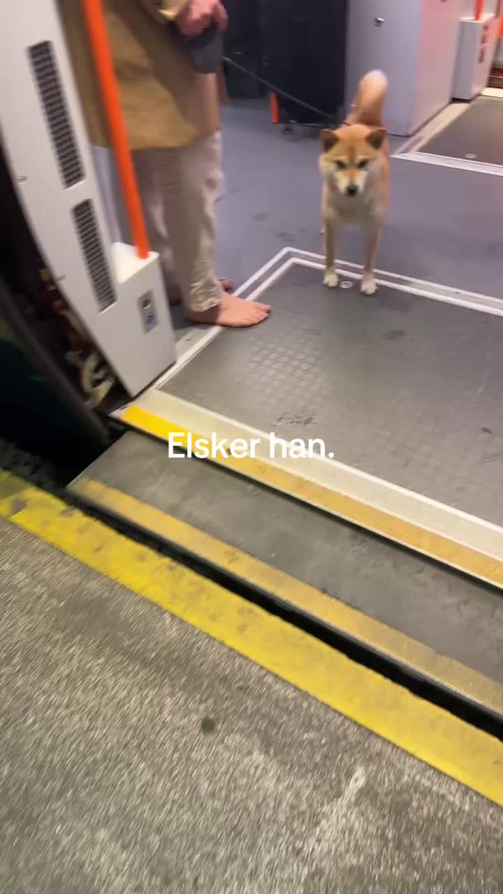 @Marenforsberg