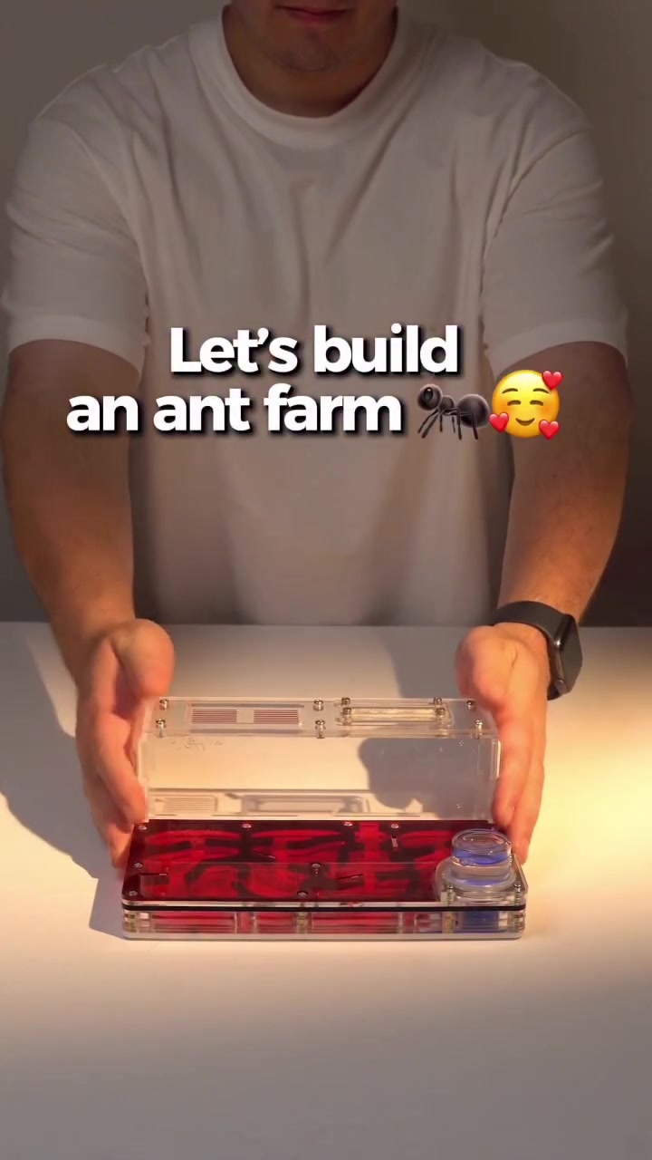 @antshq
