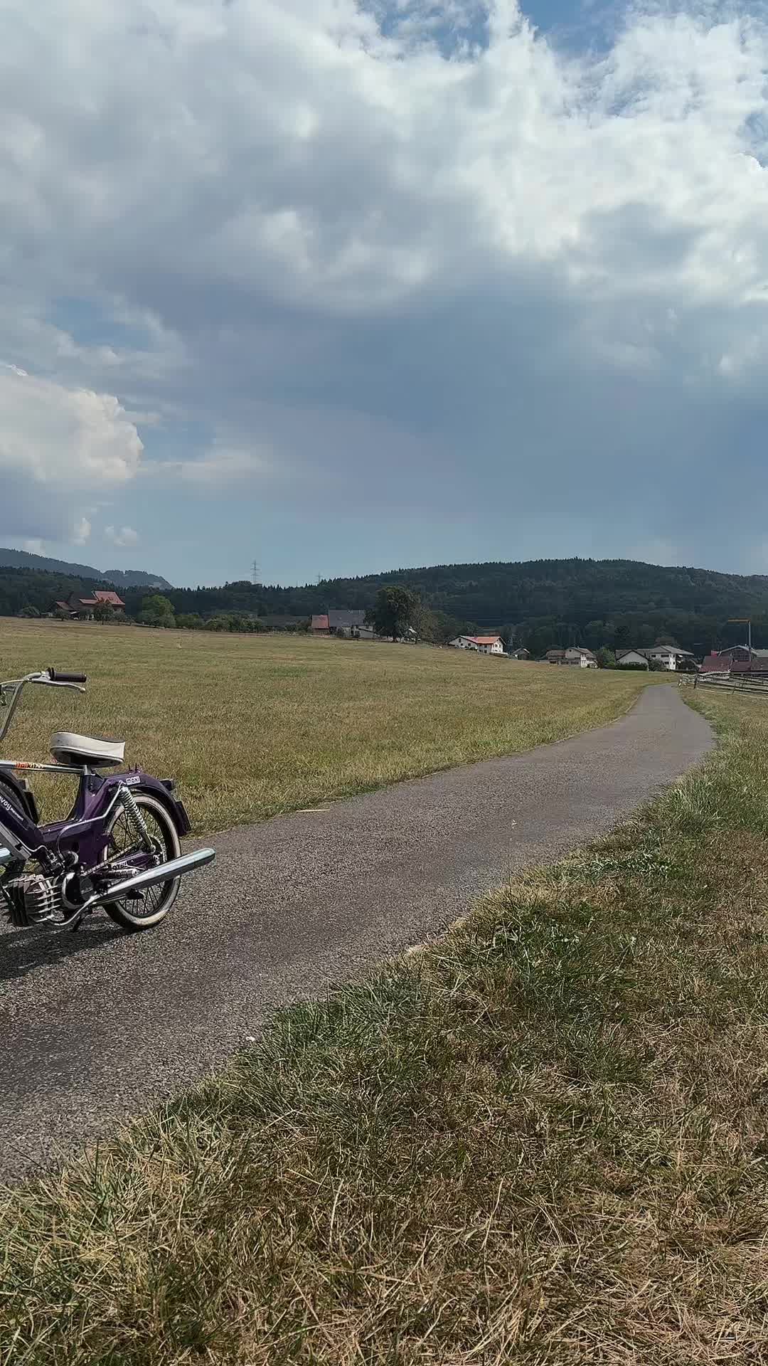 @Black_Puch_swiss