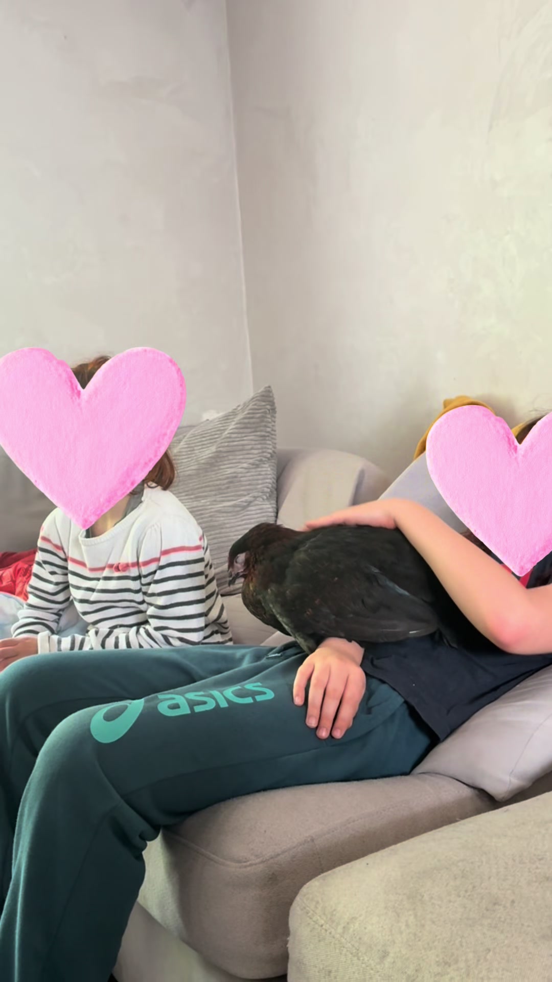 @Nounours et compagnie