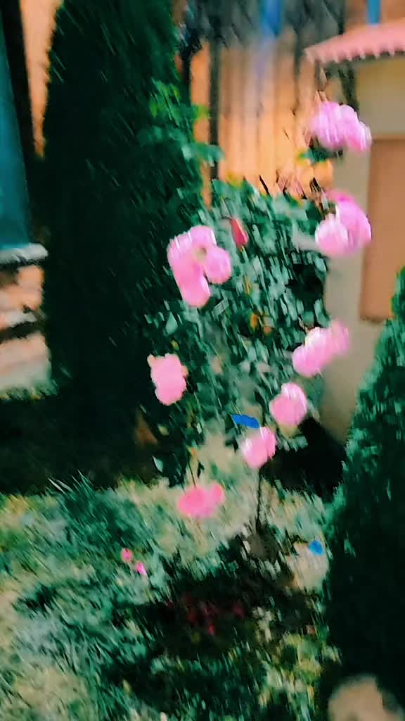 @ciurarita 🥀