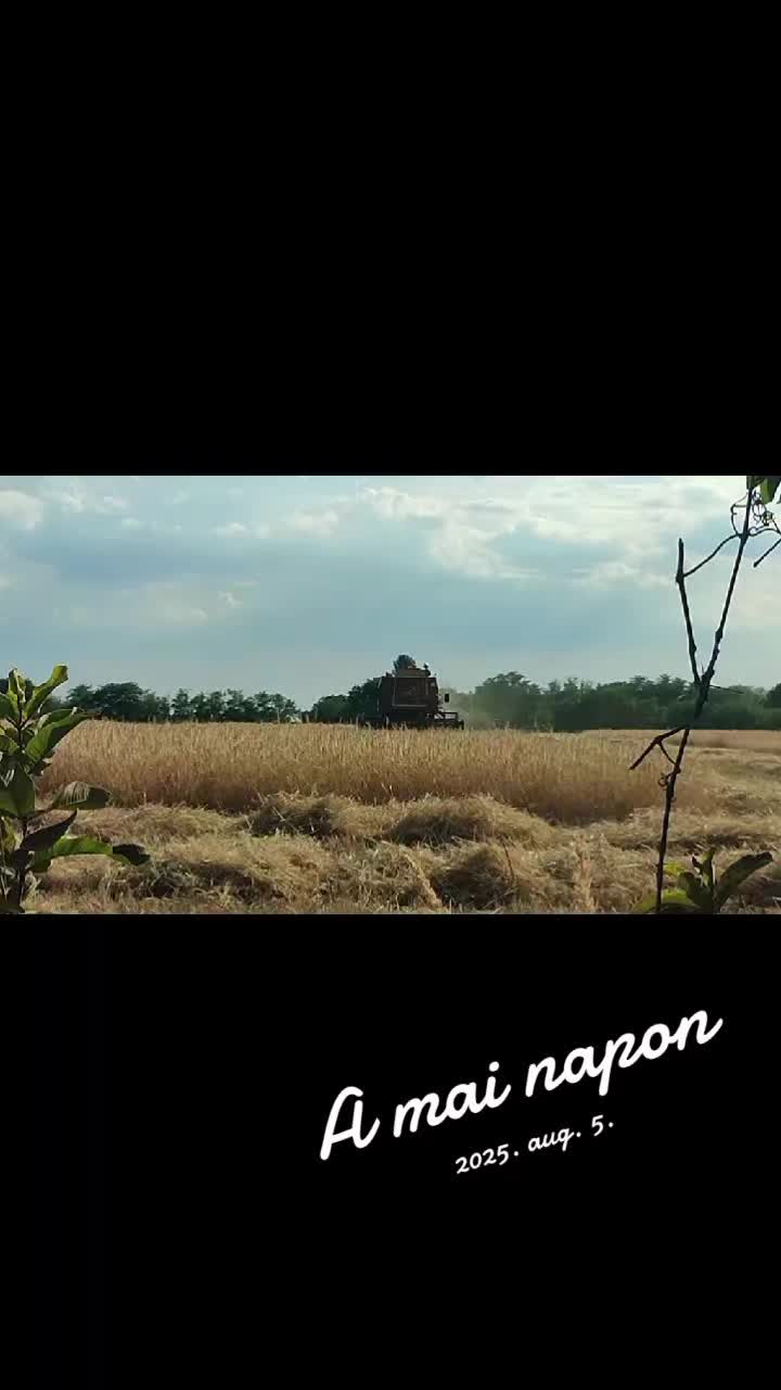 @Rózsa Mihály 🦂