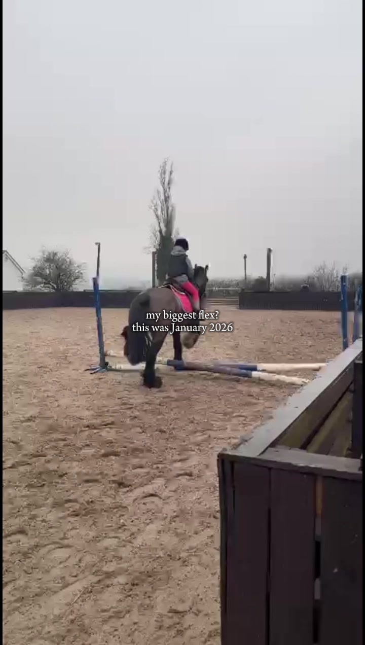 @LottiesHorseAdventures🦄🐴