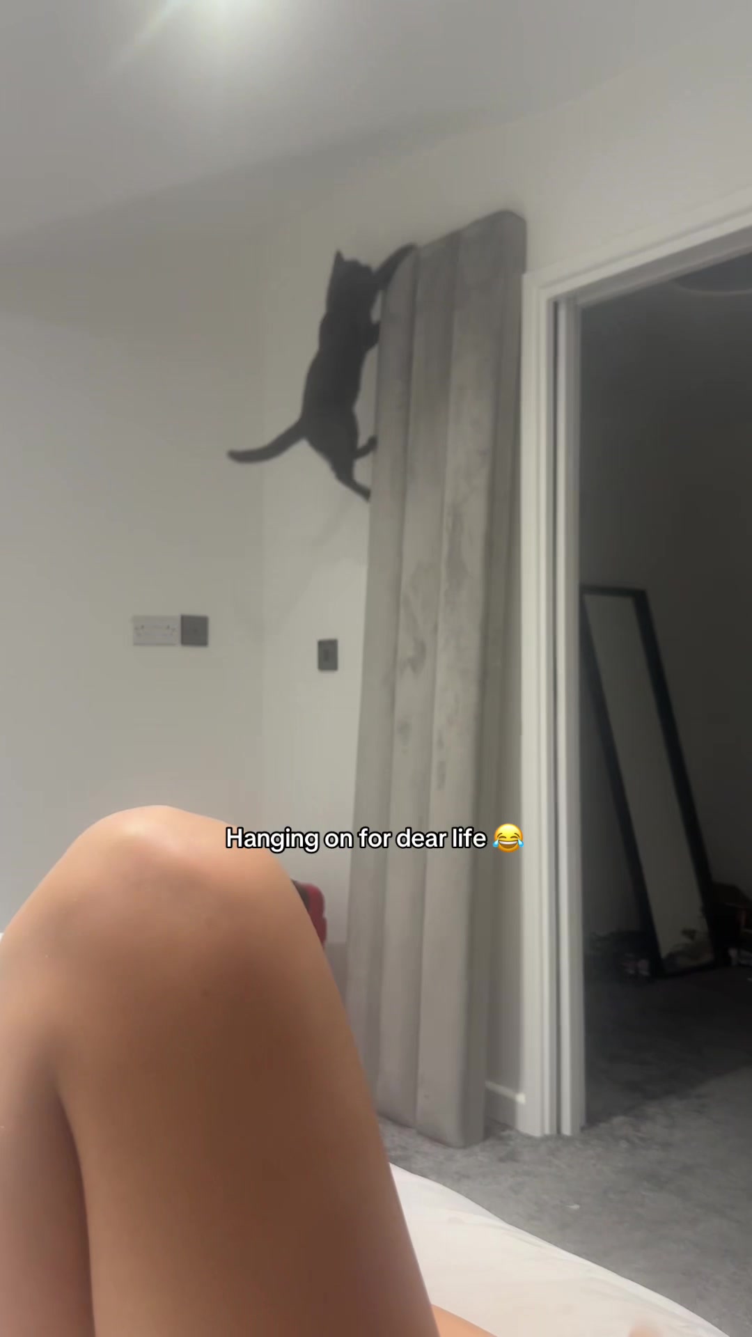 @pauldtattoo