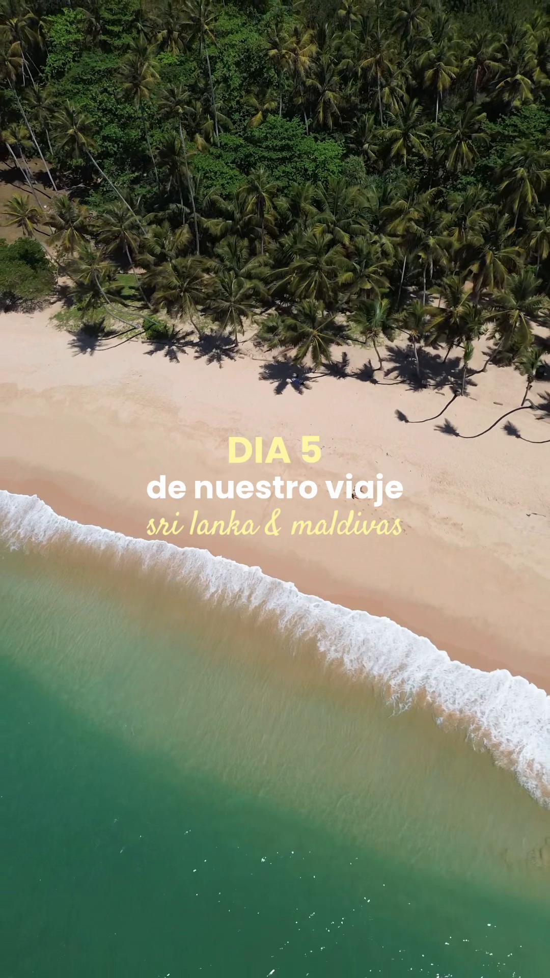 @Laia Ruiz
