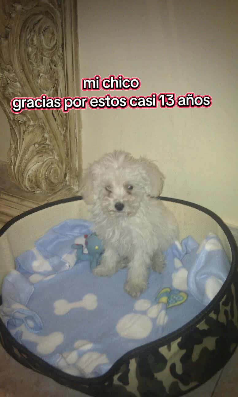 @💞 ᵐⓐгⒾ&alpha; ڶό𝕊𝒆 💞