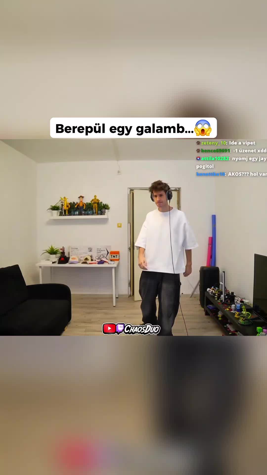 @77patrik