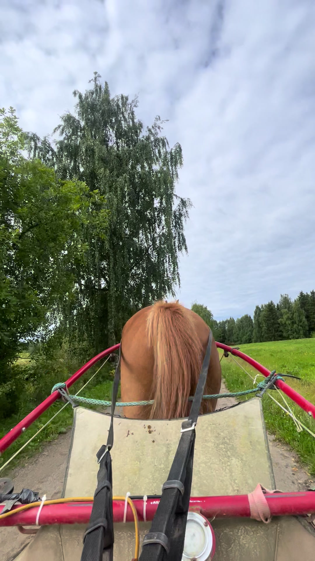 @🦄🦄