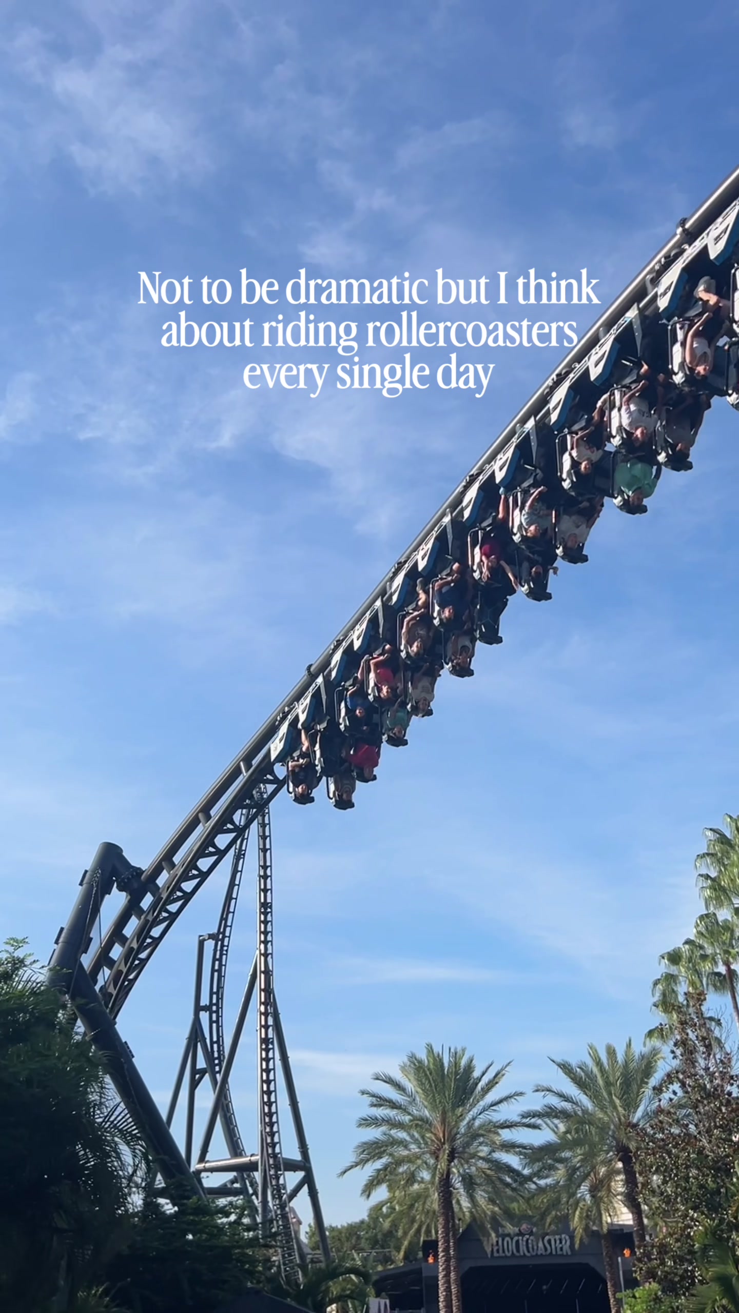 @Lauren | Theme Parks & Travel