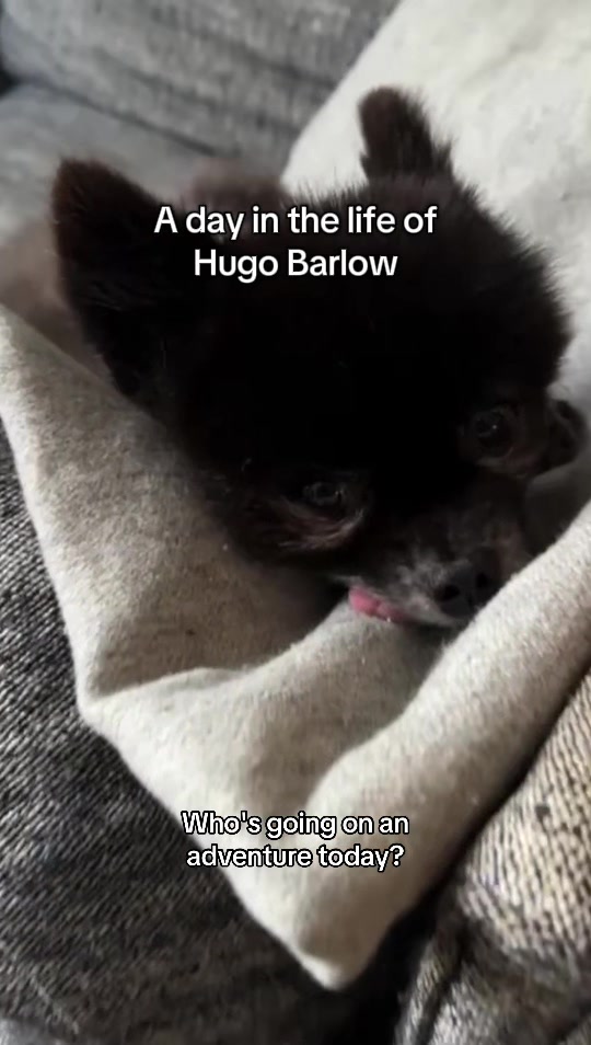 @Gary Barlow