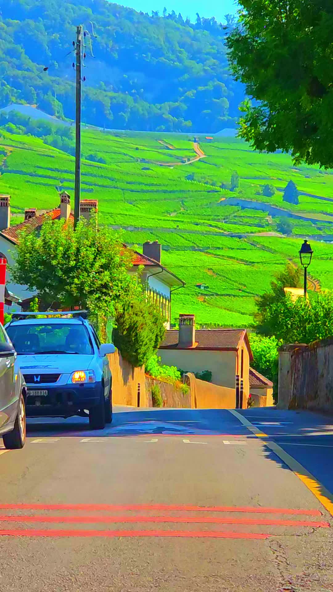 @🇨🇭flores Sérgio 🇵🇹