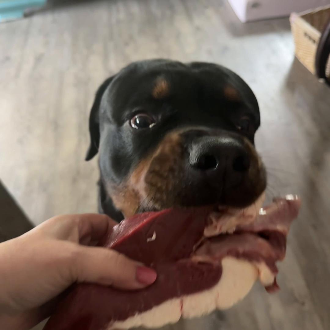 @Saphir🥰🐾