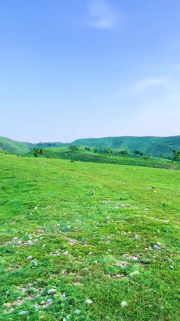 @جمیل