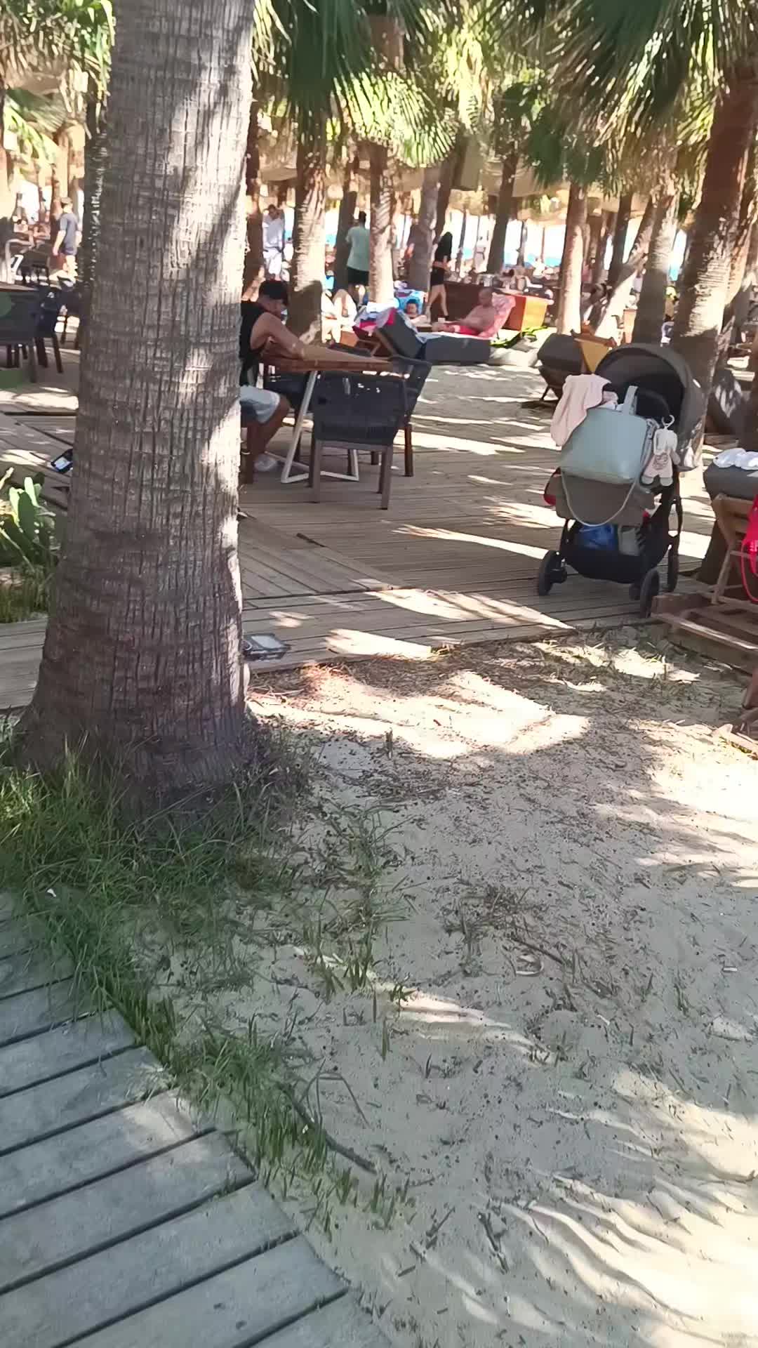 @Bari
