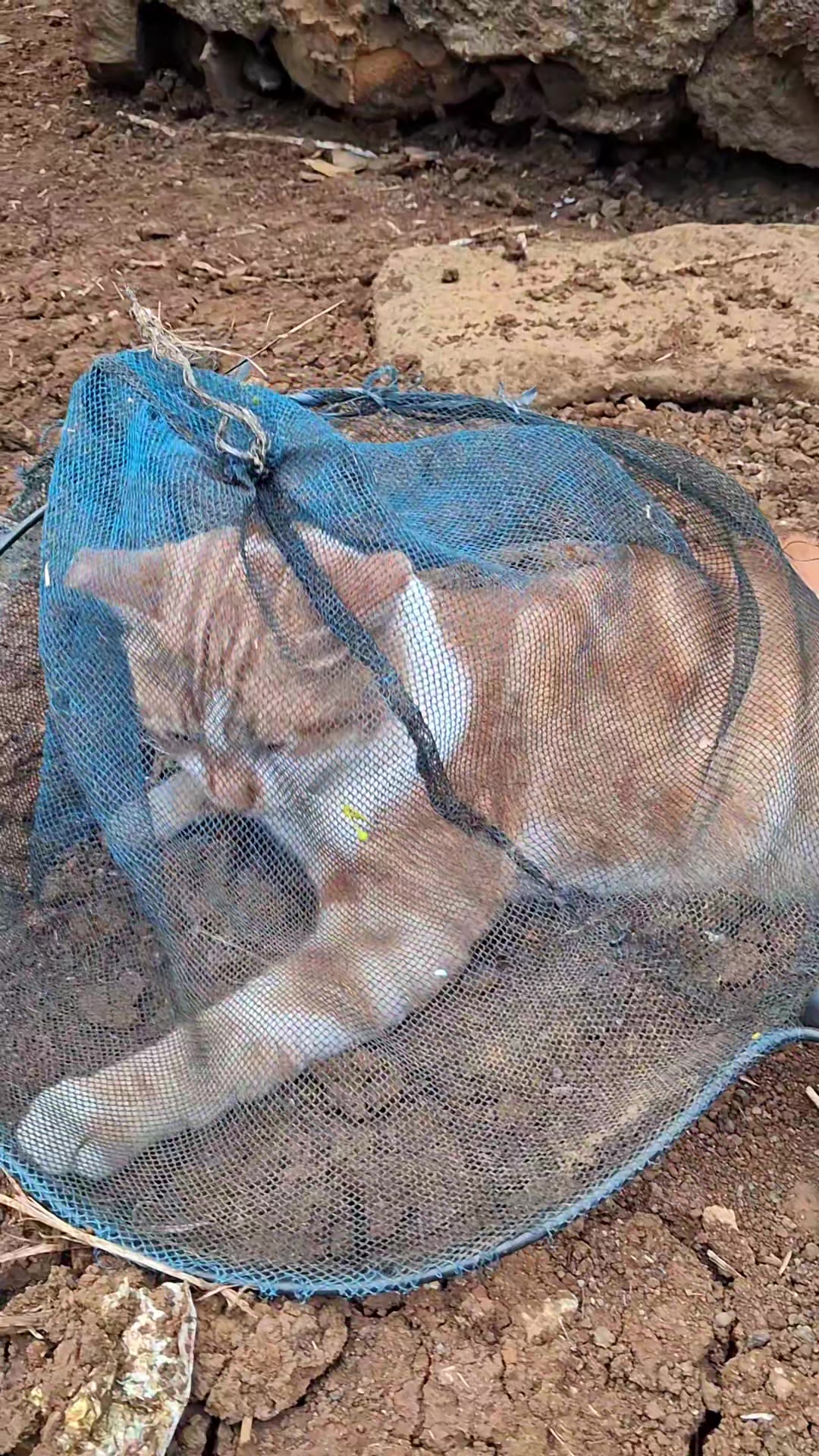 @Hꫀׁׅܻᥣׁׅ֪ᥣׁׅ֪ꫀׁׅܻꪀׁׅꪀׁׅ'꯱ׁׅ֒